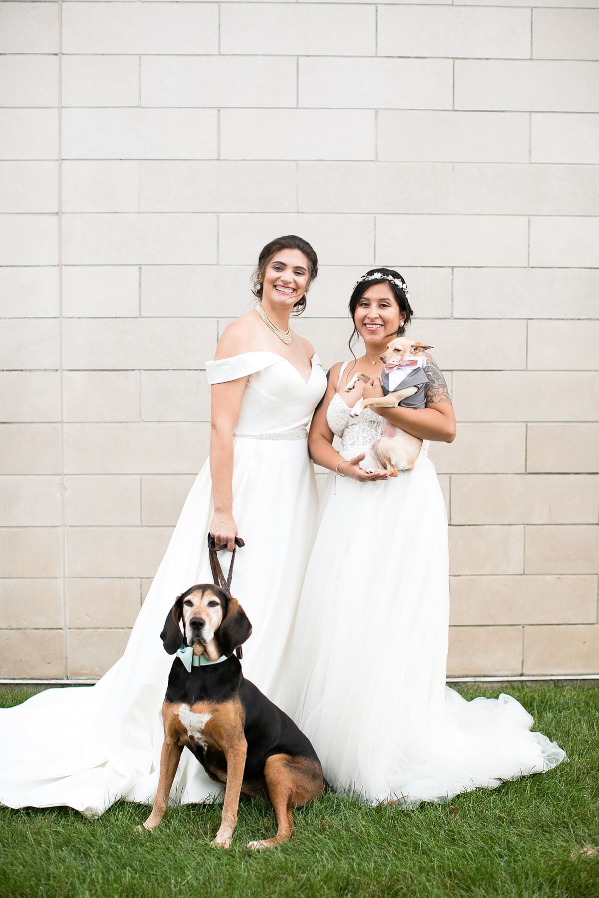 Brides with dogs on wedding day